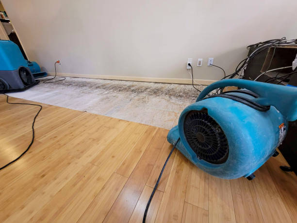 Professional Structural Drying technician working in Merrill, IA
